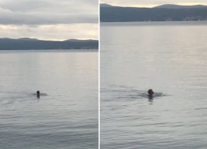 VIDEO: KUPANJE U STUDENOM Žena sa splitskog Žnjana ne boji se studeni