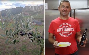 Poteklo prvo ulje iz prvog maslinika u Hrvatskom zagorju!