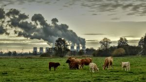Šest vodećih klimatskih znanstvenika zaključilo da nas prljavi zrak ustvari štiti od još većih temperatura zraka