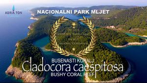 U Nacionalnom parku Mljet nalazi se najveći greben busenastog kamenog koralja na svijetu