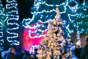 Staničić: "Za Novu godinu u Hrvatskoj očekujemo više od 80 tisuća turista"