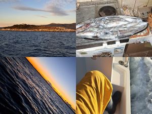 S OCEM NA LIGNJE Kako "preživjeti", ali i uloviti koji dobar komad?