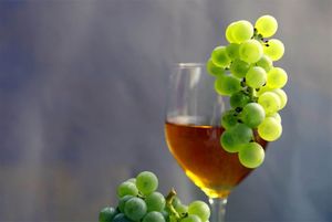 Picula: "Propali talijanski napori, nema prepreka za zaštitu Prošeka!"