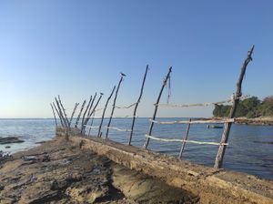 SAVUDRIJSKE GRUE Dizalice od akacija čitavo stoljeće odolijevaju nevremenu!