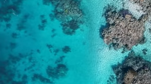 Smanjuje se Australija!? Nestanu li im koraljni otoci nestaje im još puno toga