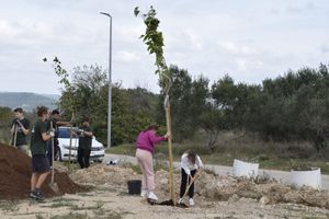 Projekt “DICA SADE VIŠE - ZA STUPANJ NIŽE” udruge Argonauta iz Murtera obilježio listopad i studeni na Otoku