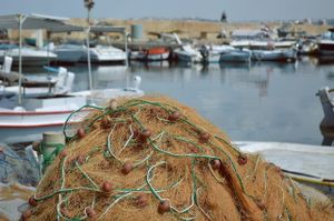 Prekomjerni izlov u Sredozemlju na najnižoj je razini u posljednjih deset godina