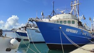 Dok traje lovostaj na srdele, ribari samo u slučaju više sile smiju premjestiti plovilo