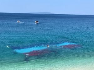 NAJTROFEJNIJI REPREZENTATIVCI NASTUPAT ĆE POD DRUGOM ZASTAVOM? Zbog malverzacija u ronilačkom savezu razmišljaju o najgoroj opciji