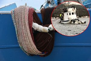 Privremena obustava ribolova za srdelare i natječaj za otkup ribolovnih prava