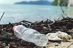 SEA STAR HERO Od ove sezone i turisti će čistiti pulske plaže i more
