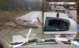 Bura na pulskom području rušila stabla, šteta je velika