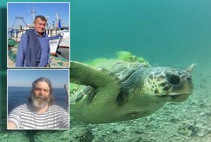 Ribari žestoko uzvratili stručnjacima nakon pomora glavatih želvi: "Educirajte nas, umjesto da nas blatite!"