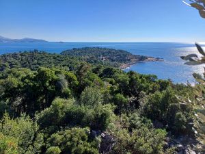 Javna ustanova Rezervat Lokrum započela svoje vikendaške plovidbe na otok Lokrum