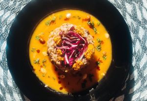 KOZZINA CRNA KUŽINA Rižoto od radiča i gljiva u šalši od žutih rajčica i senfom od gljiva