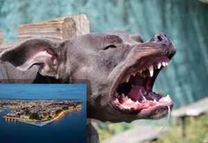 MORH potvrdio: "Zbog tragedije u Zadru u kojoj je pas ubio staricu privedena je djelatna vojna osoba!"