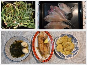 ZEMLJA GURMANIJA Sljubljivanje mora i zemlje