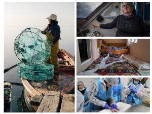 ŽENE U RIBARSTVU Nova studija rasvijetlila njihove uloge u ovoj industriji