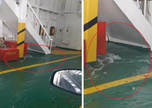 More se u trajektu iz Pelješca prema Mljetu prelijeva u brod: "Kad je jače jugo, kao da ste u koritu rijeke!"