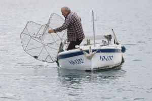 Jutarnji ribolov i vađenje vrša u Tribunju