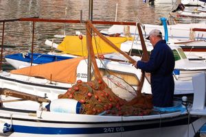 Publikacije i vodiči Uprave ribarstva