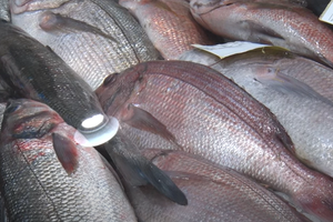 Cijene lete u nebo - građani su nezadovoljni situacijom na ribarnicama:"Oslića sam platila 5 eura!"