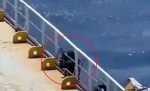 ŠOKANTNA SNIMKA Pirati se ukrcali na brod, posada prestravljena: "Poubijat će nas, ako im ne plate!"