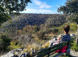 OČUVAJMO KAMENU ČIPKU OTOKA Počinju Dani suhozida na Hvaru