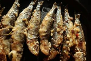 Konzumacija srdela i inćuna umjesto crvenog mesa spasila bi 750.000 života