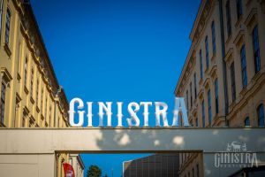 Započele prijave za najveći međunarodni festival gina u Hrvatskoj