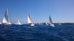 Ovo je regata na kojoj jedriličari vješaju mudante umjesto brojeva