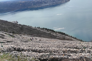 Radionica obnove bakarskih prezida - druga sreća!