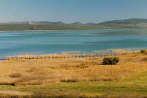 Stručnjak s Instituta Ruđer Bošković: "Vransko jezero umire!"