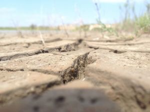 Nova studija - Sve više ljudi izloženo je ekstremnim temperaturama