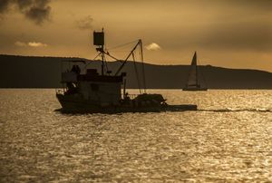 Novi Interreg projekt kojim će se uvesti hibridni pogon na brodovima talijanske i hrvatske flote