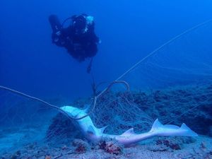 Počelo vađenje ribarskih mreža u Parku prirode Telašćica