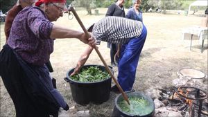 Tradicionalni prvomajski piknik Vodičani proslavili uz divlje zelje i pulentu