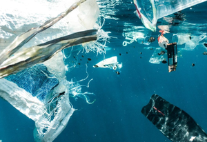 PROJEKT AWASTER Hrvatska i Italija zajedno protiv otpada u moru!