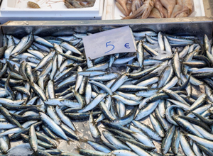ZAVRŠIO LOVOSTAJ Srdele, inćuni i ostala mala plava riba vraćaju se na ribarnice!