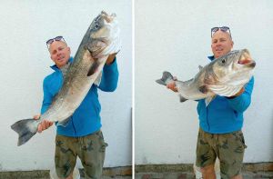 Panulom iz ruke ulovio brancina od 10,5 kg!