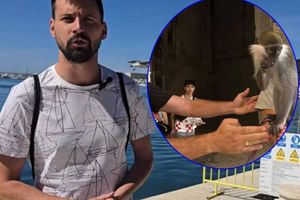 Splitom netko šeta sa zelenim majmunom. Dogradonačelnik Ivošević: " Već je ugrizao nekoliko građana, zovite policiju!"