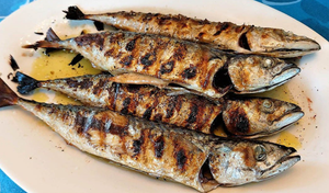 Skuša - najzdravija riba na svijetu?