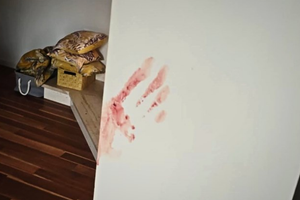 STRAVA U SOLINU Vlasnik vile: "Britanci su se goli mazali krvlju i ljubili, povraćao sam od muke!"