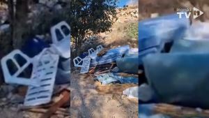 UGLJAN Promovira se kao "Otok maslina", a iza maslinika deponij iznajmljivača