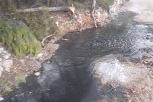 FEKALIJE U ŽDRELCU Stigao odgovor načelnika Općine Pašman : "Pukla nam je cijev!"