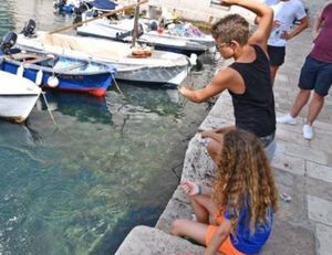 UMJESTO MOBITELA Mali dubrovački ribolovci osvajaju srca i love ribu!