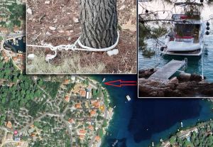 ŠAKA U OKO U ROGAČU NA ŠOLTI "Kupiš jahtu, nabetoniraš ispri'kuće i zavežeš je kao kozu za stablo"