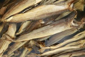 Europska komisija smanjuje kvote za izlov bakalara i lososa