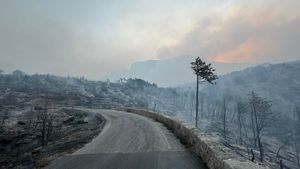 "Zanimljivo, uvijek oko Oluje!" Licemjerne teorije zavjera oko uzroka požara na Jadranu, no što je stvarni uzrok? Evo odgovora...