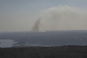 POŽAR KOD PULE Gori šuma i trava, a vjetar mijenja smjer - stižu kanaderi!